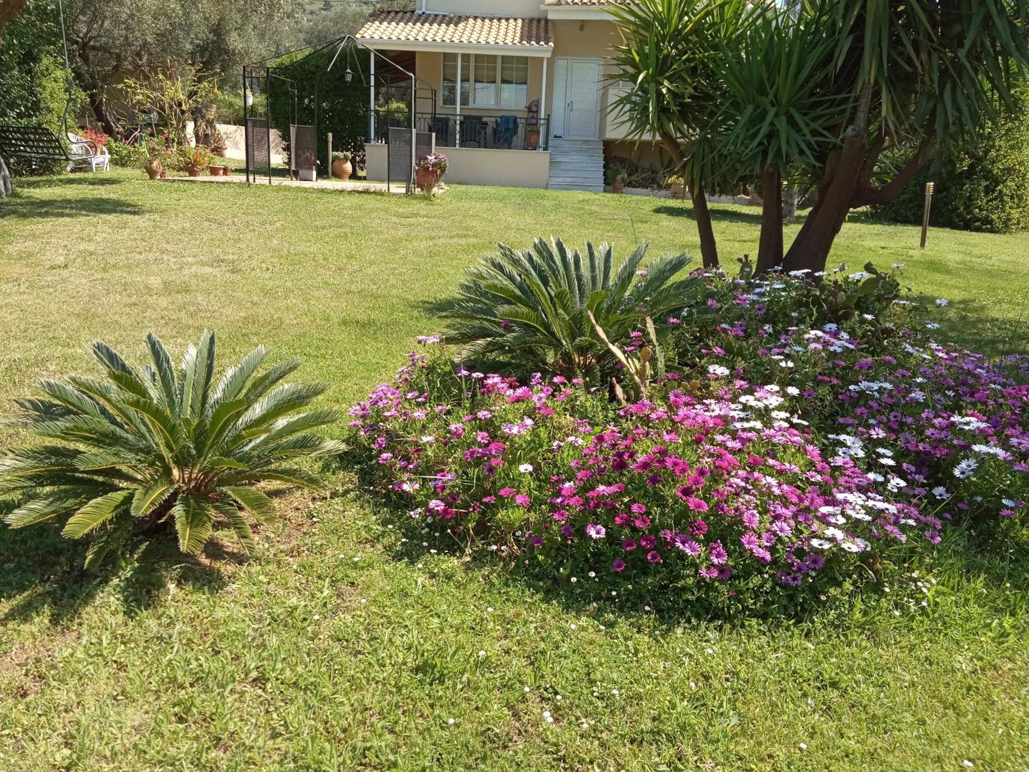 Sunny Garden Villa Платарія Номер фото